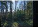 View of wooded backyard seen from screened porch at 1433 Pine Glen Pl # G2, Tarpon Springs, FL 34688