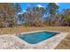 Inviting rectangular pool, perfect for relaxation at 19256 Hidden Oaks Dr, Brooksville, FL 34604