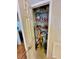 Well-organized pantry with ample shelving for storage at 34071 Avocado N Dr, Pinellas Park, FL 33781