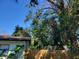 Large backyard with mature trees and wooden fence at 3445 10Th N Ave, St Petersburg, FL 33713