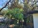 Tree removal in progress near the fence at 3445 10Th N Ave, St Petersburg, FL 33713