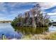 Scenic view of a tranquil lake with lush vegetation and a dock at 4728 Swallowtail Dr, New Port Richey, FL 34653