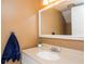 Simple bathroom with a vanity and mirror at 6325 Newtown Cir # 25B2, Tampa, FL 33615