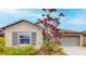 Tan house with gray shutters, landscaping, and a large tree at 993 Anchor Bend Dr, Ruskin, FL 33570