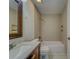 Clean bathroom, featuring a tub and updated vanity at 11607 Branch Mooring Dr, Tampa, FL 33635
