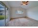 Spacious bedroom with carpet, ceiling fan, and sliding glass door at 11607 Branch Mooring Dr, Tampa, FL 33635