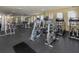 Fitness center with a variety of cardio and weight training equipment at 1429 Villa Capri Cir # 306, Odessa, FL 33556