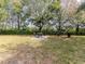 Outdoor picnic area with grill and tables at 1429 Villa Capri Cir # 306, Odessa, FL 33556