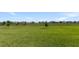 Large grassy backyard with a view of neighboring homes at 2009 Gardenia Ave, Port Charlotte, FL 33953