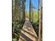 Wooden boardwalk through lush greenery at 21732 Bell Lake Rd, Land O Lakes, FL 34639