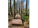 Wooden boardwalk through lush forest area at 21732 Bell Lake Rd, Land O Lakes, FL 34639