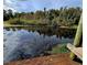 Serene view of a pond with lush vegetation at 21732 Bell Lake Rd, Land O Lakes, FL 34639