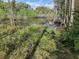 Peaceful swamp view with lush vegetation and water at 21732 Bell Lake Rd, Land O Lakes, FL 34639