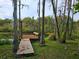 Wooden dock extending into a calm waterway, surrounded by trees at 21732 Bell Lake Rd, Land O Lakes, FL 34639
