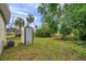 Overgrown backyard with shed and fence at 652 13Th S Ave, St Petersburg, FL 33701