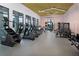Modern fitness center with various exercise equipment at 695 Allora Ave, Nokomis, FL 34275