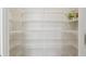 Walk-in pantry with ample shelving for storage at 12332 Prairie Valley Ln, Riverview, FL 33579