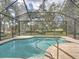 Relaxing screened pool with a view at 12632 Oak Hollow Ct, Dade City, FL 33525