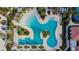 Aerial view of the resort-style pool with beach entry, lap pool, and play area at 17014 Clear Cork Dr, Wimauma, FL 33598