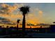 Beautiful sunset scene featuring palm trees and a lake at 17014 Clear Cork Dr, Wimauma, FL 33598