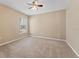 Well-lit bedroom with wall-to-wall carpet and ceiling fan at 5809 War Admiral Dr, Wesley Chapel, FL 33544