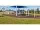Community playground with slides, swings, and shade structure at 32241 Turtle Grace Loop, Wesley Chapel, FL 33545