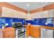 Well-equipped kitchen with stainless steel appliances and a stylish blue tile backsplash at 2619 Miriam S St, Gulfport, FL 33711