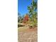 Landscaped pond with lush trees and greenery at 2933 Jacob Crossing Ln, Holiday, FL 34691