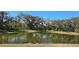 Picturesque pond surrounded by lush vegetation at 2933 Jacob Crossing Ln, Holiday, FL 34691