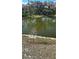 Scenic pond view with lush landscaping and mature trees at 2933 Jacob Crossing Ln, Holiday, FL 34691