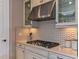 Modern kitchen features stainless steel appliances and custom cabinetry at 29658 Cassino Ct, Wesley Chapel, FL 33543