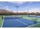 Enjoy a game on the community pickleball courts at 29658 Cassino Ct, Wesley Chapel, FL 33543