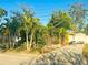 Quaint one-story home with mature trees and a brick driveway in front of the garage at 9665 2Nd N St, St Petersburg, FL 33702