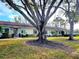 Row of light beige single-story homes with mature trees and grassy yard at 1000 Dunrobin Dr # C, Palm Harbor, FL 34684