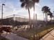 Community tennis courts with palm trees at 1000 Dunrobin Dr # C, Palm Harbor, FL 34684