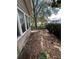 Backyard with overgrown vegetation and debris at 1311 11Th S Ave, St Petersburg, FL 33705