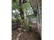 Backyard with overgrown trees and plants at 1311 11Th S Ave, St Petersburg, FL 33705