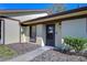 Front view of a light-yellow single-story home with a brown roof and walkway at 1311 Powderpuff Dr # 1003, Dunedin, FL 34698