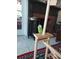 Green parrot on a wooden stand in a living room at 15806 Redington Dr, Redington Beach, FL 33708