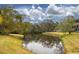 Peaceful pond view from the backyard at 20 Sylvia Pl, Oldsmar, FL 34677