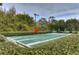 Well-maintained shuffleboard courts at 30817 Prout Ct, Wesley Chapel, FL 33543