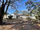 House exterior view, showing front yard at 4814 Northdale Blvd, Tampa, FL 33624