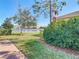 Backyard view of a pond and lush landscaping at 4935 Marble Springs Cir, Wimauma, FL 33598