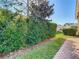 Landscaped backyard with lush greenery and brick pathway at 4935 Marble Springs Cir, Wimauma, FL 33598