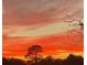 Stunning sunset view over the property's tree line at 9445 Southern Belle Dr, Weeki Wachee, FL 34613