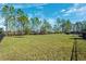 Large grassy dog park with trees and fencing at 9846 Red Bay Loop, Land O Lakes, FL 34637