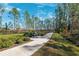 Concrete walking path through a wooded area at 9846 Red Bay Loop, Land O Lakes, FL 34637