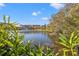 Peaceful lake view with lush greenery in foreground at 1 Gallinule Pl, Belleair, FL 33756