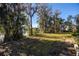 Expansive grassy waterfront yard with mature trees and lake access at 10106 Tarpon Springs Rd, Odessa, FL 33556