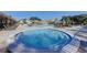 Circular hot tub near the pool and lounge area at 1162 Rustlewood Ct, Palm Harbor, FL 34684